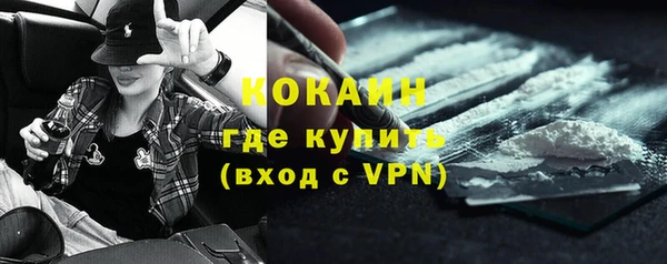mix Инта